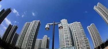 上海新开盘商品住房公证摇号销售 房地产经纪迎来新生态